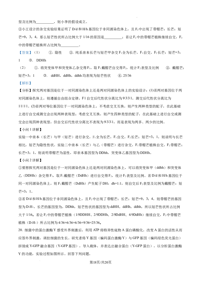 2025年高考综合改革适应性演练（八省联考）生物答案（四川）_2025年1月_❤2025年高考综合改革适应性演练（八省联考）(1)