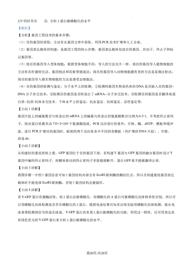 2025年高考综合改革适应性演练（八省联考）生物答案（四川）_2025年1月_❤2025年高考综合改革适应性演练（八省联考）(1)