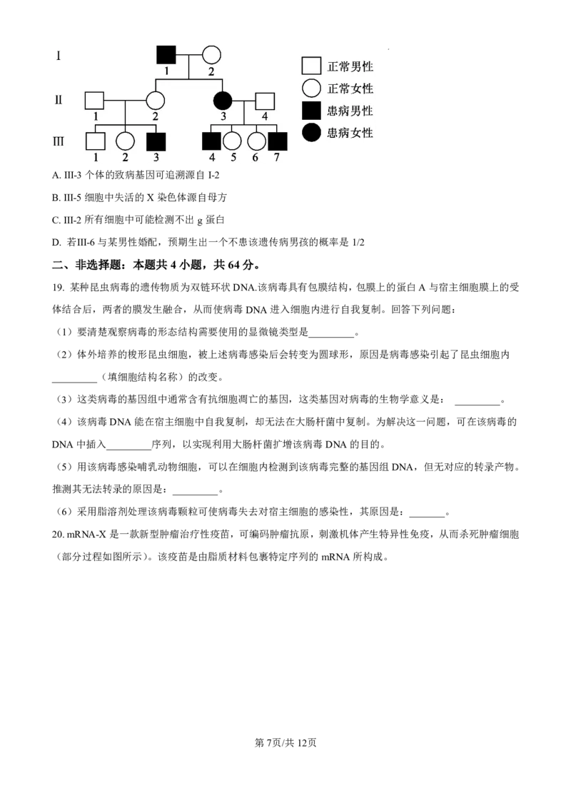 2025《高考真题&bull;湖北》生物试卷_2025《全国高考真题卷》各地方卷_2025《高考真题&bull;湖北》