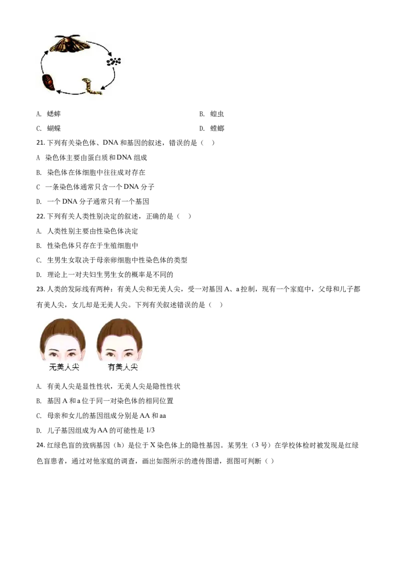 精品解析：江苏省苏州市2020年学业考试生物试题（原卷版）_中考真题_8.生物中考真题2015-2024年_2020生物真题74份_2020年中考真题精品解析生物（江苏苏州卷）精编word版