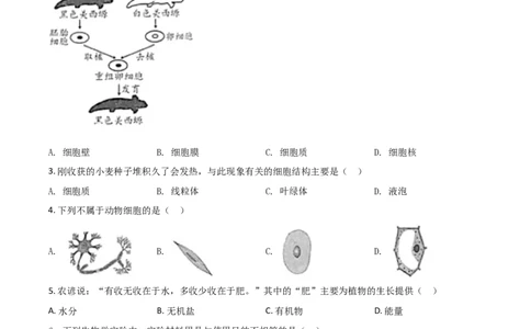精品解析：江苏省苏州市2020年学业考试生物试题（原卷版）_中考真题_8.生物中考真题2015-2024年_2020生物真题74份_2020年中考真题精品解析生物（江苏苏州卷）精编word版