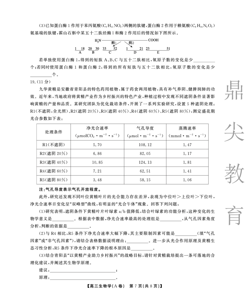 2025-2026学年鼎尖名校大联考生物(A)_2025年10月_251013安徽省鼎尖名校大联考2025-2026学年高三上学期10月月考（全科）
