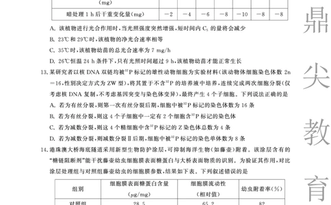 2025-2026学年鼎尖名校大联考生物(A)_2025年10月_251013安徽省鼎尖名校大联考2025-2026学年高三上学期10月月考（全科）