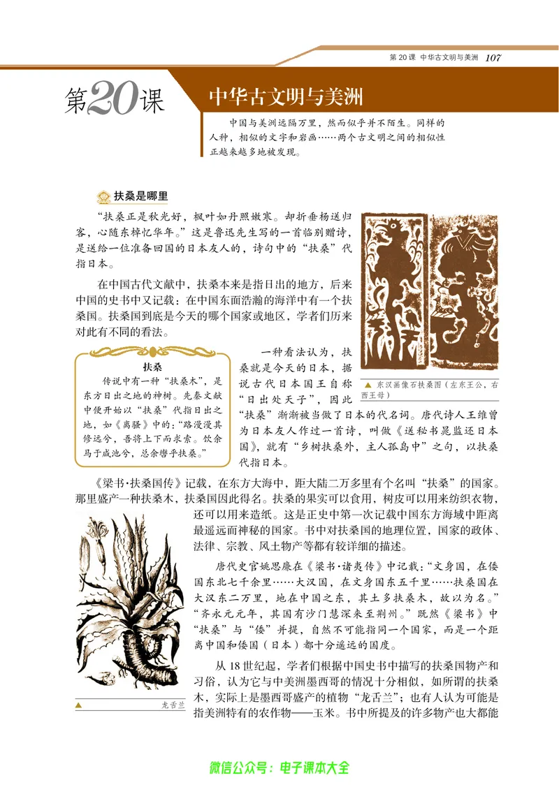 选修：探索历史的奥秘_4-教培资料-26年最新资料-同步更新_初中高中教资_03科三专项（进去保存报考的学科即可）_02科三专项（笔记真题思维导图教学设计版本二）