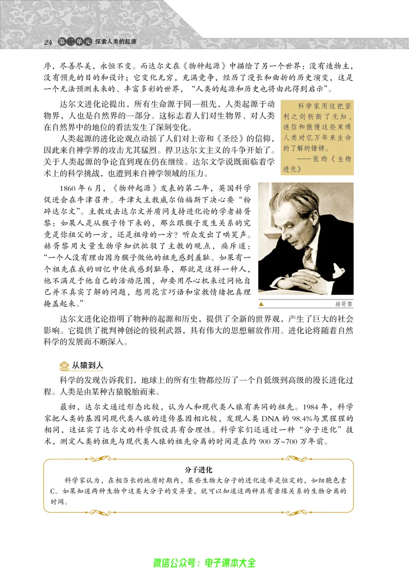 选修：探索历史的奥秘_4-教培资料-26年最新资料-同步更新_初中高中教资_03科三专项（进去保存报考的学科即可）_02科三专项（笔记真题思维导图教学设计版本二）