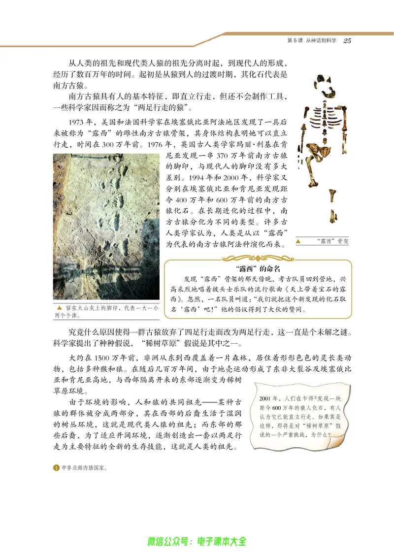 选修：探索历史的奥秘_4-教培资料-26年最新资料-同步更新_初中高中教资_03科三专项（进去保存报考的学科即可）_02科三专项（笔记真题思维导图教学设计版本二）