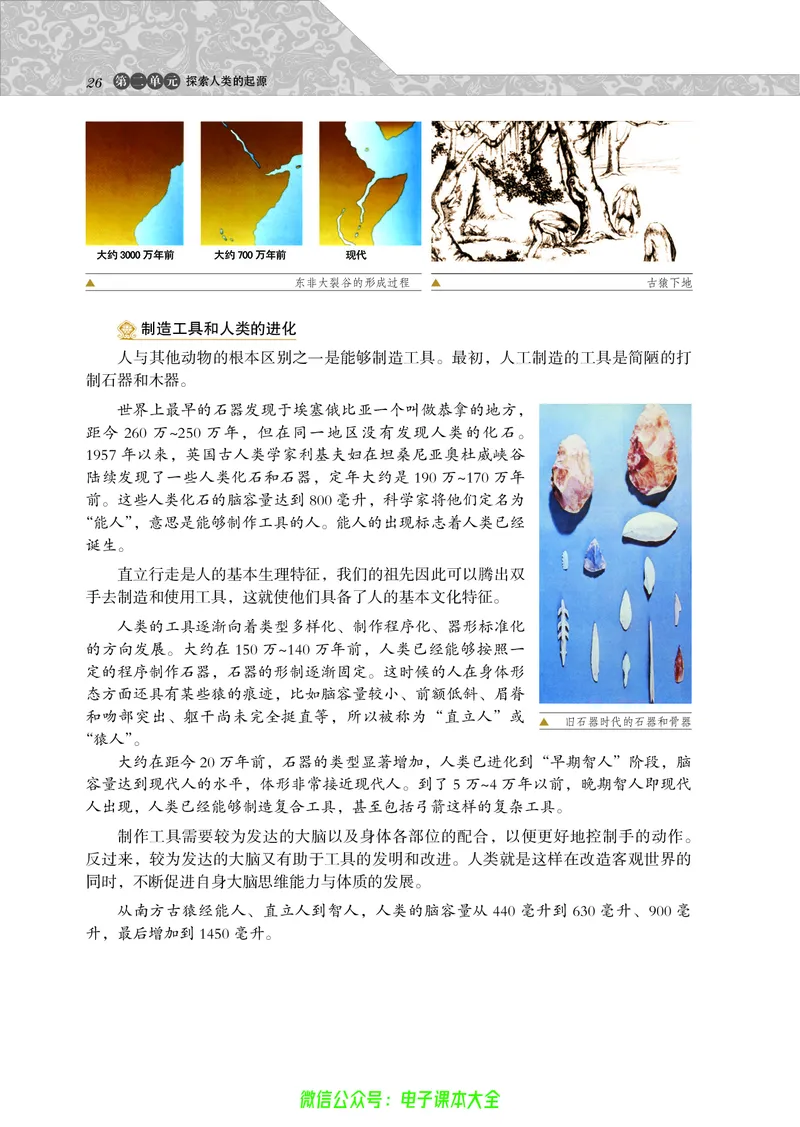 选修：探索历史的奥秘_4-教培资料-26年最新资料-同步更新_初中高中教资_03科三专项（进去保存报考的学科即可）_02科三专项（笔记真题思维导图教学设计版本二）