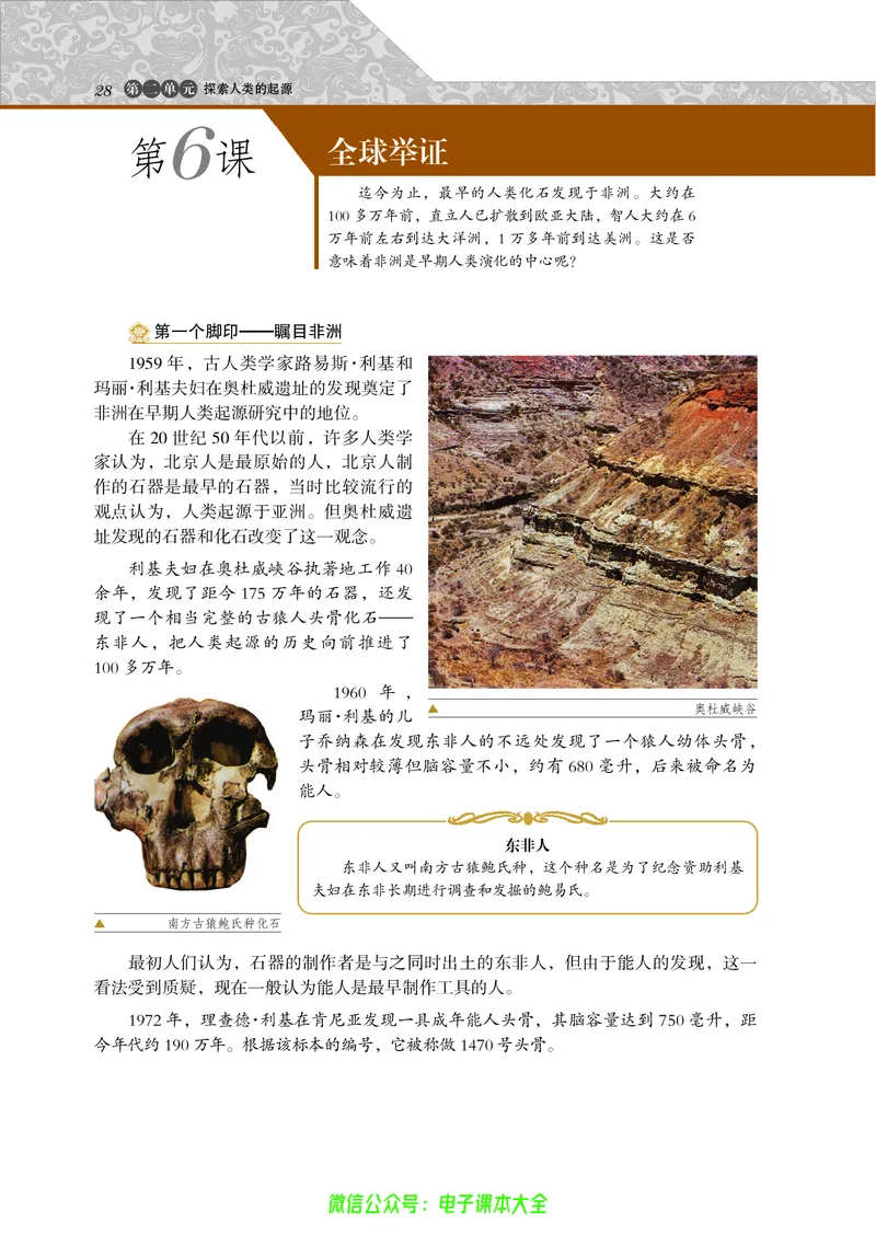 选修：探索历史的奥秘_4-教培资料-26年最新资料-同步更新_初中高中教资_03科三专项（进去保存报考的学科即可）_02科三专项（笔记真题思维导图教学设计版本二）