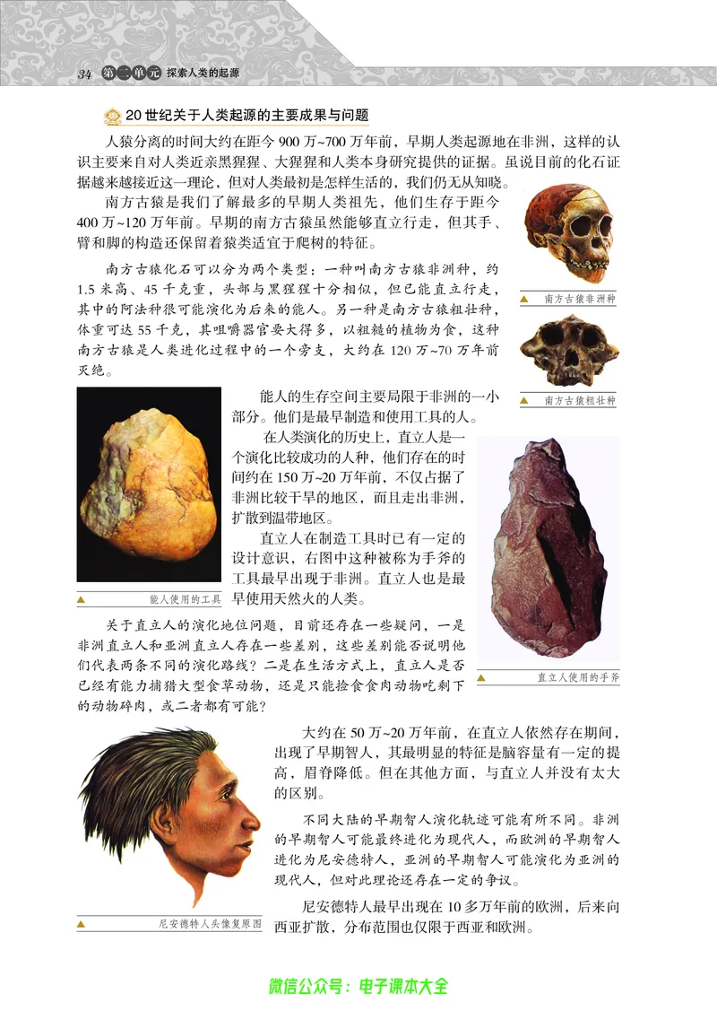 选修：探索历史的奥秘_4-教培资料-26年最新资料-同步更新_初中高中教资_03科三专项（进去保存报考的学科即可）_02科三专项（笔记真题思维导图教学设计版本二）