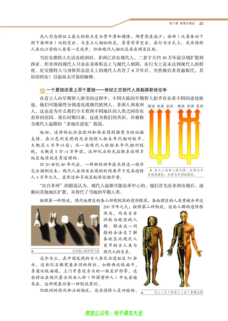 选修：探索历史的奥秘_4-教培资料-26年最新资料-同步更新_初中高中教资_03科三专项（进去保存报考的学科即可）_02科三专项（笔记真题思维导图教学设计版本二）