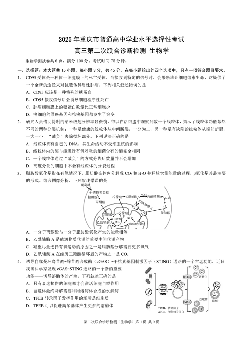 2025重庆康德二诊生物_2025年4月_250412重庆市2025年普通高等学校招生全国统一考试（康德二诊）（全科）