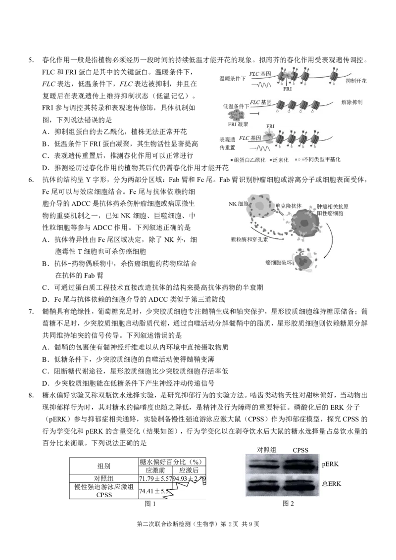 2025重庆康德二诊生物_2025年4月_250412重庆市2025年普通高等学校招生全国统一考试（康德二诊）（全科）