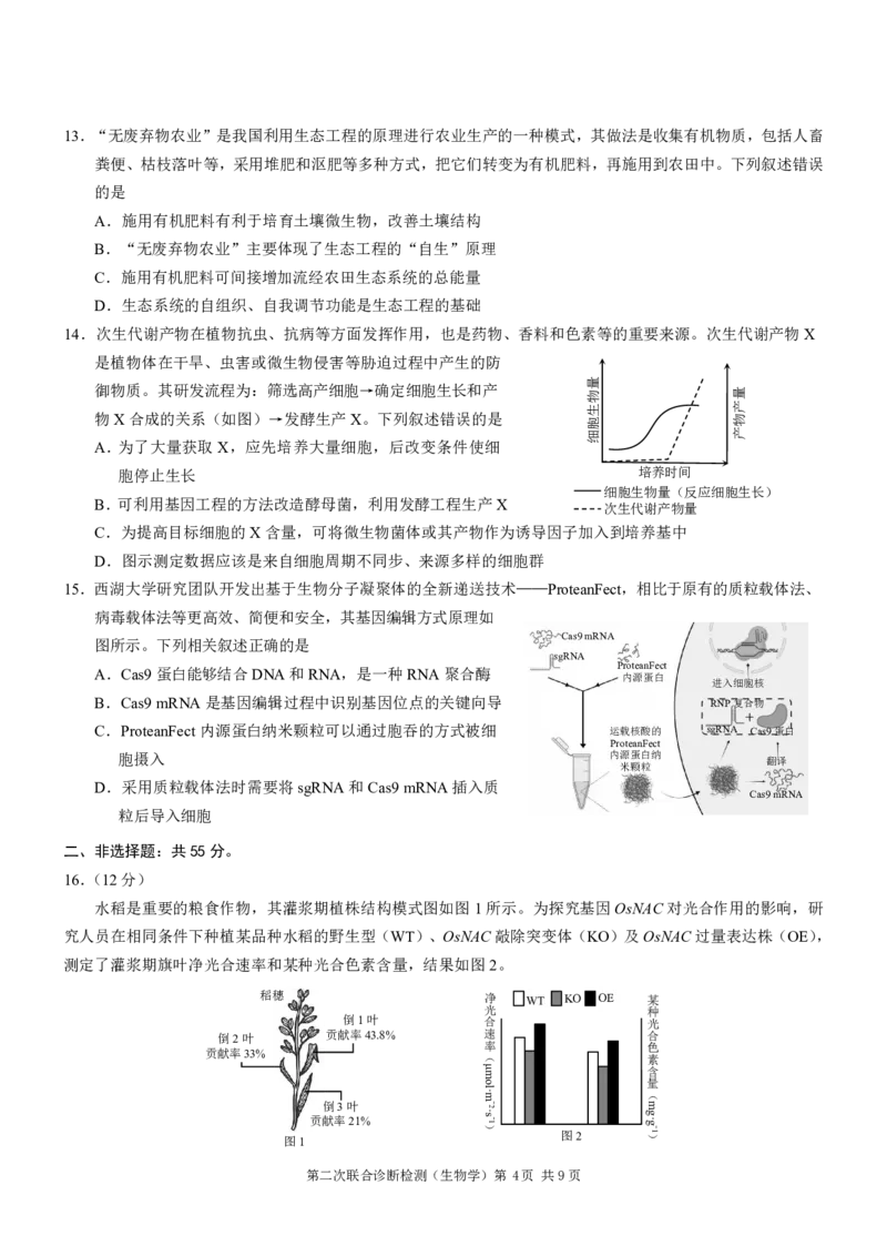 2025重庆康德二诊生物_2025年4月_250412重庆市2025年普通高等学校招生全国统一考试（康德二诊）（全科）