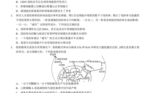 2025重庆康德二诊生物_2025年4月_250412重庆市2025年普通高等学校招生全国统一考试（康德二诊）（全科）