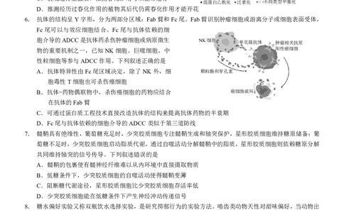 2025重庆康德二诊生物_2025年4月_250412重庆市2025年普通高等学校招生全国统一考试（康德二诊）（全科）
