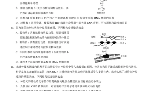 2025重庆康德二诊生物_2025年4月_250412重庆市2025年普通高等学校招生全国统一考试（康德二诊）（全科）