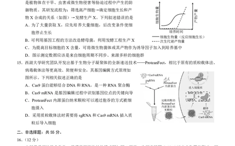 2025重庆康德二诊生物_2025年4月_250412重庆市2025年普通高等学校招生全国统一考试（康德二诊）（全科）