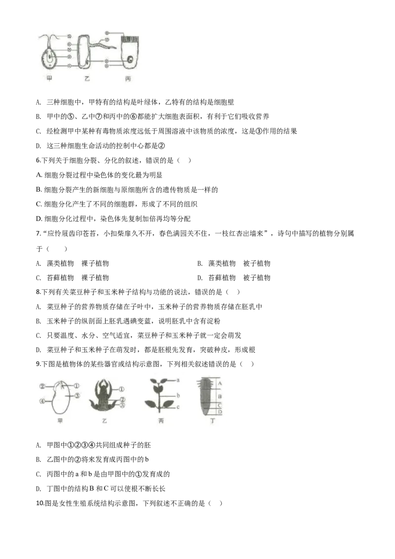 精品解析：山东省临沂市2020年中考生物试题（原卷版）_中考真题_8.生物中考真题2015-2024年_2020生物真题74份_2020年中考真题精品解析生物（山东临沂卷）精编word版