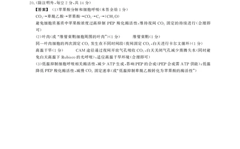 2025-2026学年鼎尖名校大联考生物(A)答案_2025年10月_251013安徽省鼎尖名校大联考2025-2026学年高三上学期10月月考（全科）