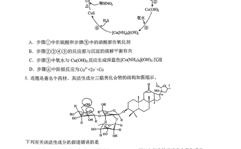 东北师大附中2025届高三下学期期初考试-化学试题+答案_2025年2月_250224吉林省长春市东北师范大学附属中学2024-2025学年高三下学期开学考试