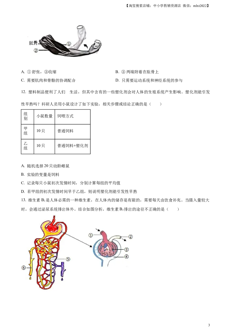 精品解析：2024年山东省烟台市中考生物试题（原卷版）_中考真题_8.生物中考真题2015-2024年_2024年中考生物真题_精品解析：2024年山东省烟台市中考生物试题