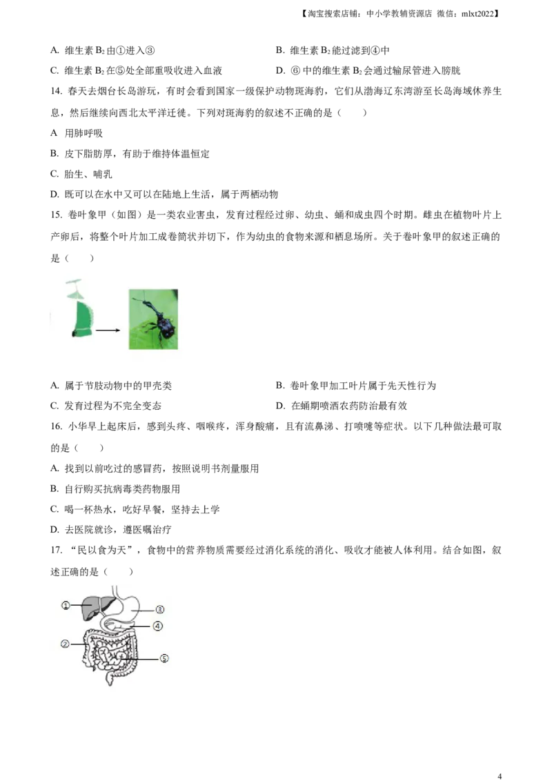 精品解析：2024年山东省烟台市中考生物试题（原卷版）_中考真题_8.生物中考真题2015-2024年_2024年中考生物真题_精品解析：2024年山东省烟台市中考生物试题