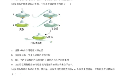 精品解析：四川省内江市2019年中考生物试卷（原卷版）_中考真题_8.生物中考真题2015-2024年_2019年全国中考生物92份_精品解析：四川省内江市2019年中考生物试题