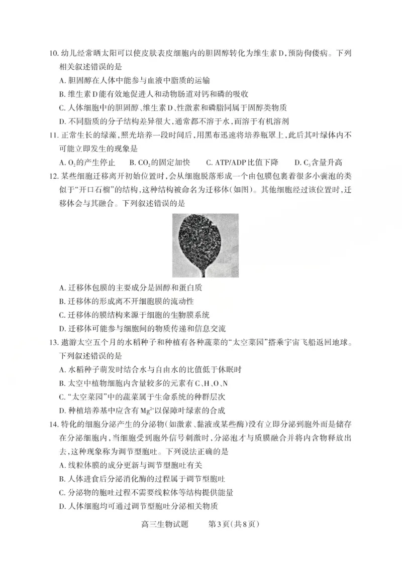 2025-2026学年第一学期高三年级10月学情检测生物_2025年10月_251029山西省三重教育2025-2026学年第一学期高三年级10月学情检测（全科）