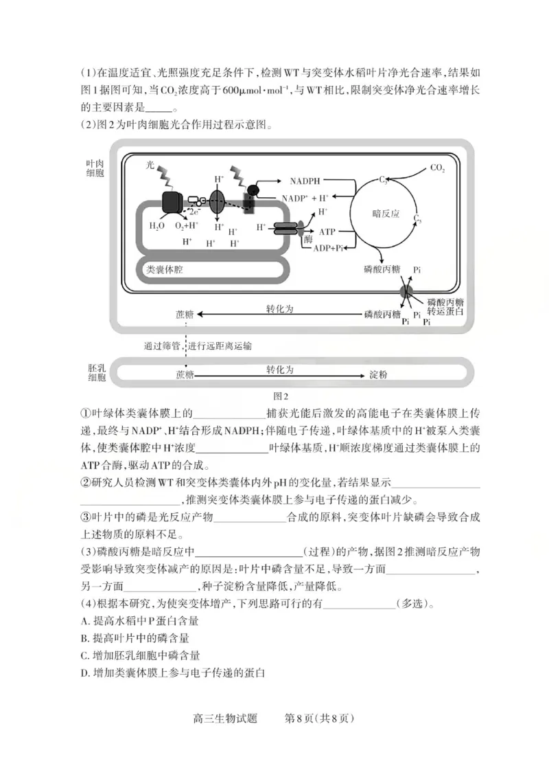 2025-2026学年第一学期高三年级10月学情检测生物_2025年10月_251029山西省三重教育2025-2026学年第一学期高三年级10月学情检测（全科）