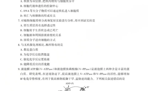 2025-2026学年第一学期高三年级10月学情检测生物_2025年10月_251029山西省三重教育2025-2026学年第一学期高三年级10月学情检测（全科）