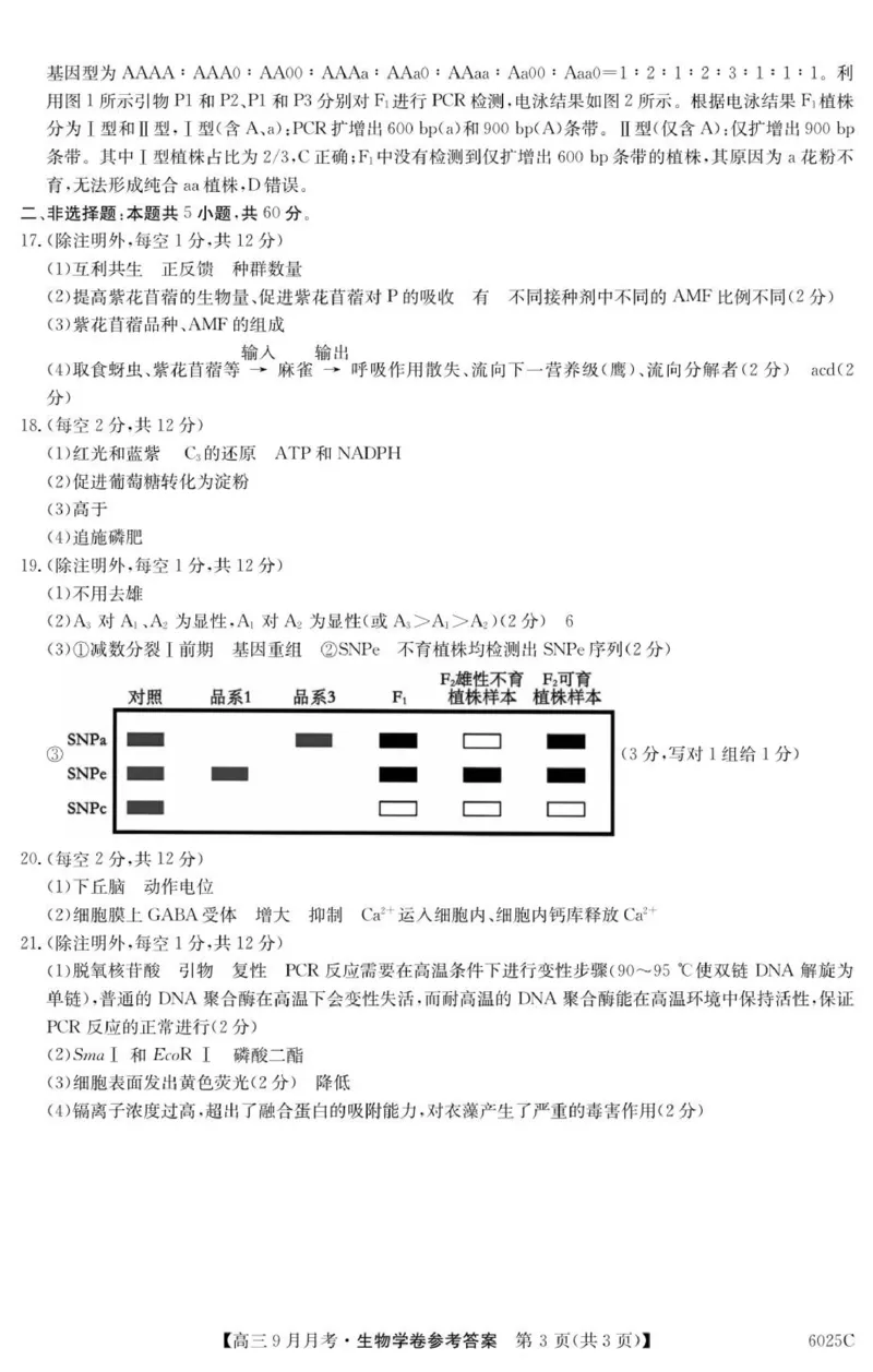 6025C生物学DA_2025年9月_250915广东省2025-2026学年高三上学期9月月考（全科）_广东省2025-2026学年高三上学期9月月考生物试题（有答案）