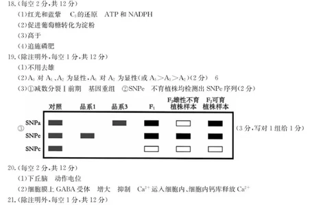 6025C生物学DA_2025年9月_250915广东省2025-2026学年高三上学期9月月考（全科）_广东省2025-2026学年高三上学期9月月考生物试题（有答案）