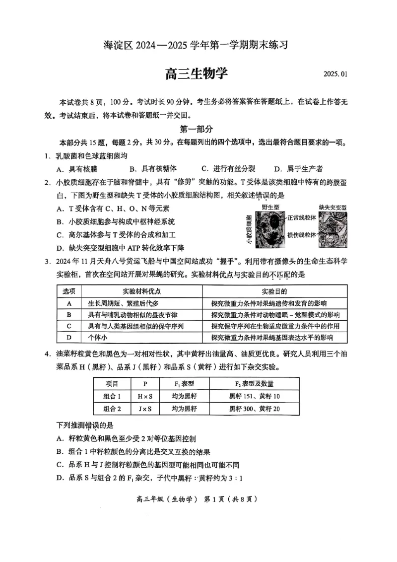 北京市海淀区2024-2025学年上学期高三期末练习生物_2025年1月_250125北京市海淀区2024-2025学年上学期高三期末练习试卷（全科）_北京市海淀区2024-2025学年上学期高三期末练习生物