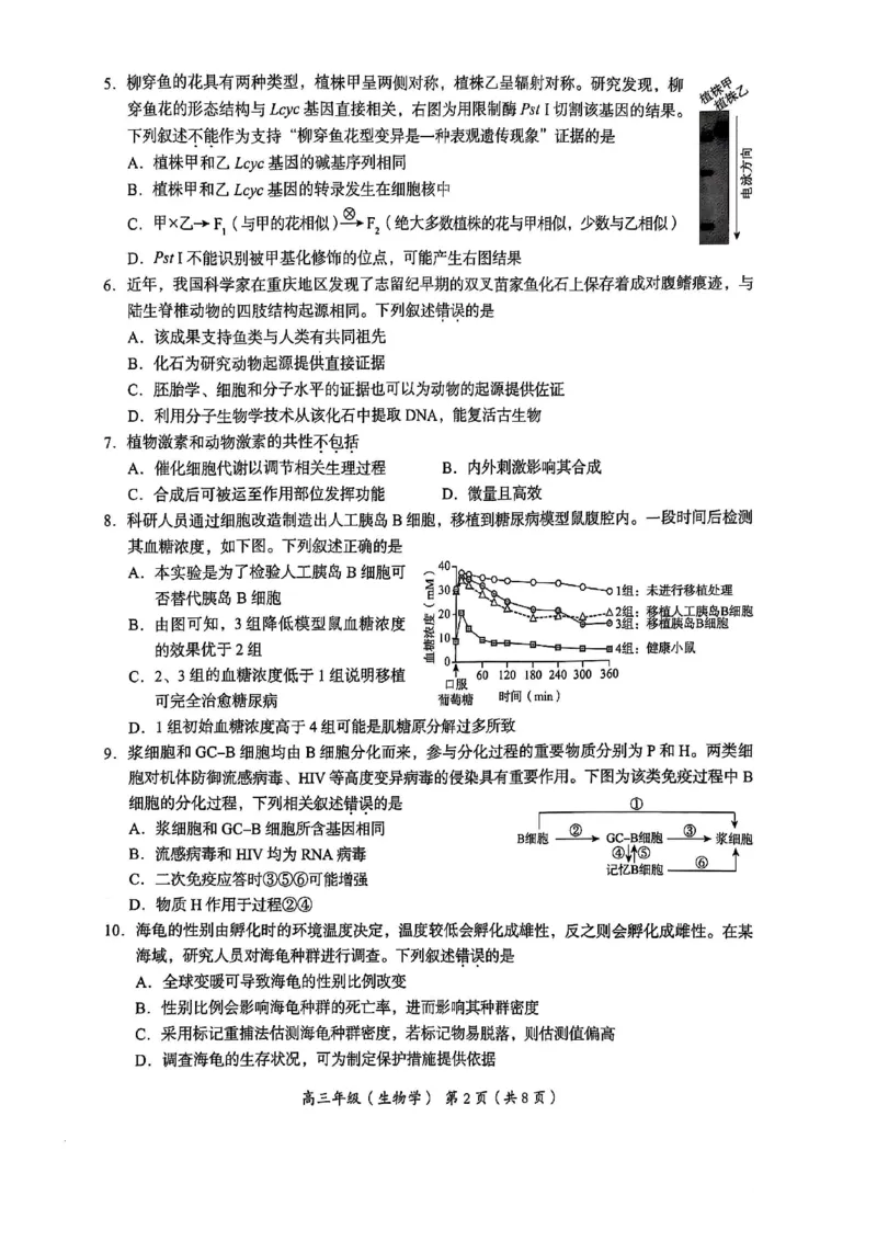 北京市海淀区2024-2025学年上学期高三期末练习生物_2025年1月_250125北京市海淀区2024-2025学年上学期高三期末练习试卷（全科）_北京市海淀区2024-2025学年上学期高三期末练习生物