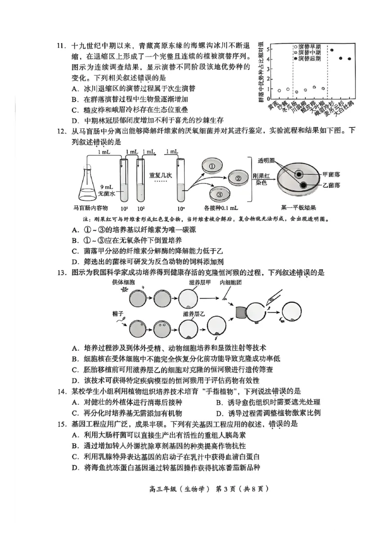 北京市海淀区2024-2025学年上学期高三期末练习生物_2025年1月_250125北京市海淀区2024-2025学年上学期高三期末练习试卷（全科）_北京市海淀区2024-2025学年上学期高三期末练习生物