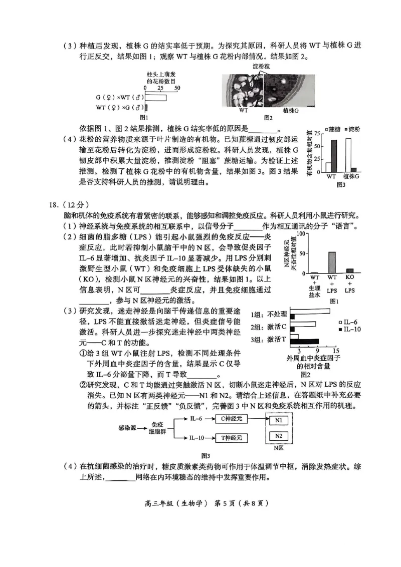 北京市海淀区2024-2025学年上学期高三期末练习生物_2025年1月_250125北京市海淀区2024-2025学年上学期高三期末练习试卷（全科）_北京市海淀区2024-2025学年上学期高三期末练习生物