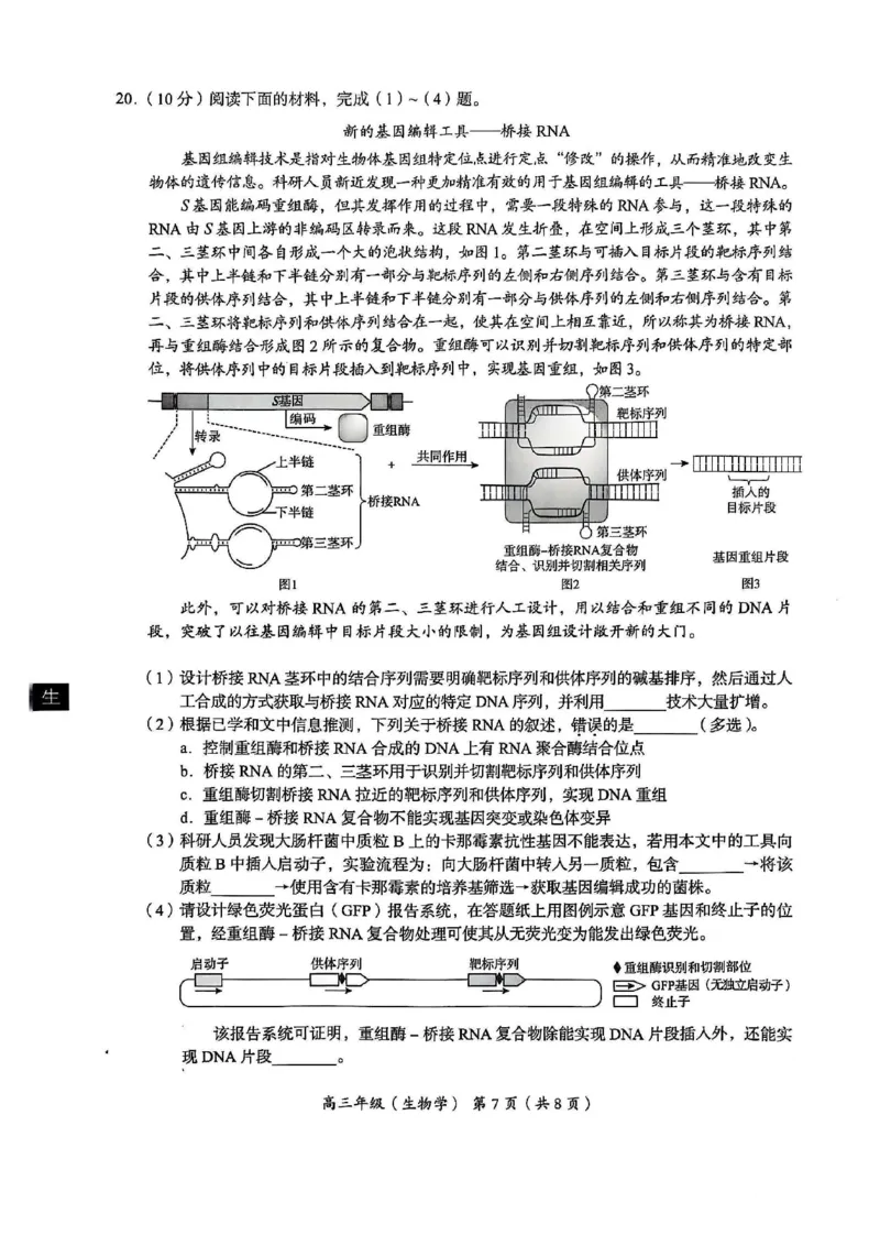 北京市海淀区2024-2025学年上学期高三期末练习生物_2025年1月_250125北京市海淀区2024-2025学年上学期高三期末练习试卷（全科）_北京市海淀区2024-2025学年上学期高三期末练习生物
