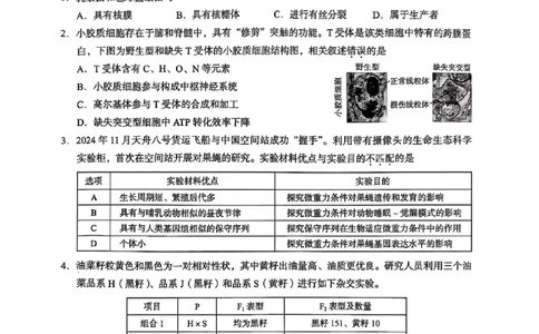 北京市海淀区2024-2025学年上学期高三期末练习生物_2025年1月_250125北京市海淀区2024-2025学年上学期高三期末练习试卷（全科）_北京市海淀区2024-2025学年上学期高三期末练习生物