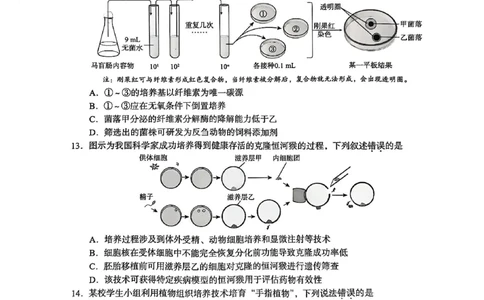 北京市海淀区2024-2025学年上学期高三期末练习生物_2025年1月_250125北京市海淀区2024-2025学年上学期高三期末练习试卷（全科）_北京市海淀区2024-2025学年上学期高三期末练习生物