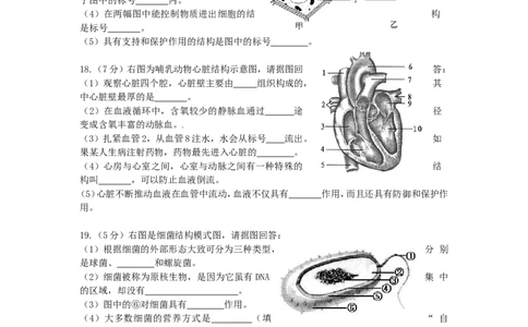 辽宁省营口市2015年中考生物真题试题（含答案）_中考真题_8.生物中考真题2015-2024年_2015年全国中考生物74份