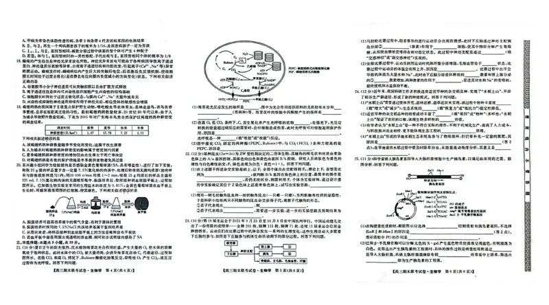 高三生物_2024届辽宁省朝阳市建平县高三上学期1月期末（金太阳515D）_辽宁省朝阳市建平县2024届高三上学期1月期末（金太阳515D）生物