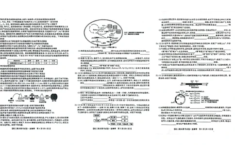 高三生物_2024届辽宁省朝阳市建平县高三上学期1月期末（金太阳515D）_辽宁省朝阳市建平县2024届高三上学期1月期末（金太阳515D）生物