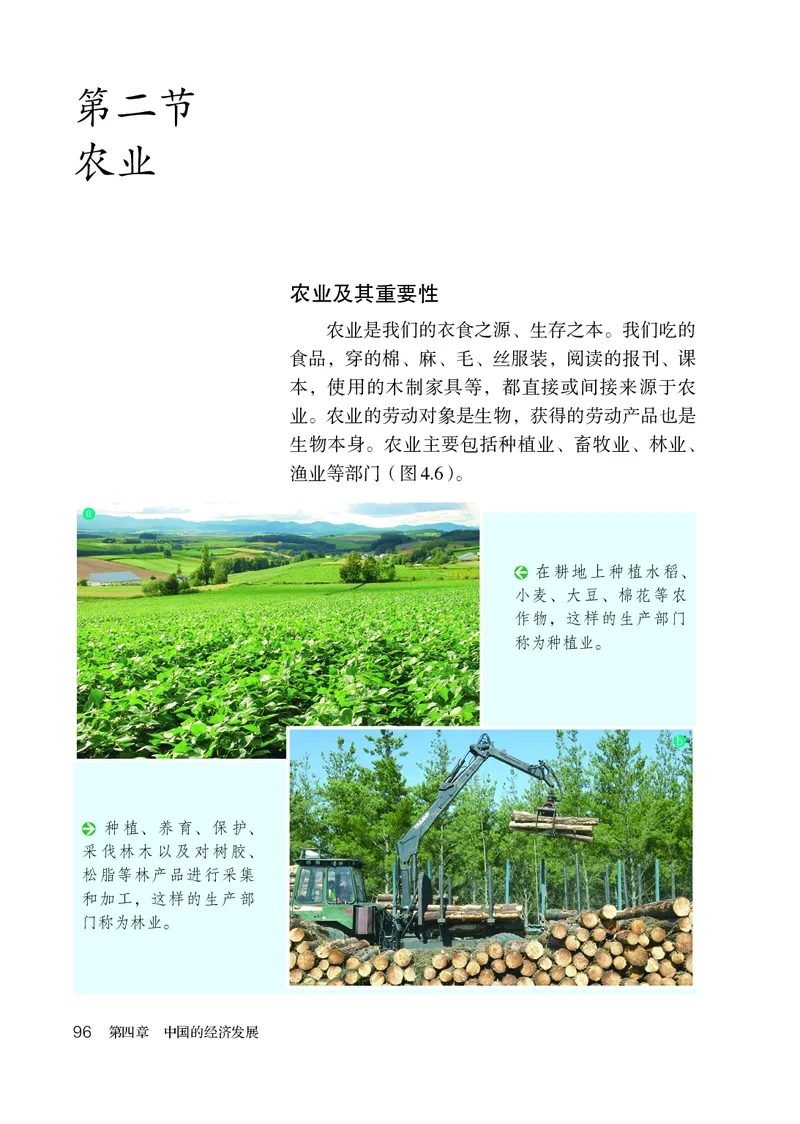 鲁教版7年级地理上册高清教材_4-教培资料-26年最新资料-同步更新_初中高中教资_03科三专项（进去保存报考的学科即可）_02科三专项（笔记真题思维导图教学设计版本二）