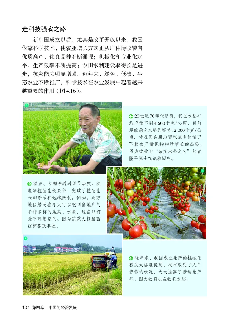 鲁教版7年级地理上册高清教材_4-教培资料-26年最新资料-同步更新_初中高中教资_03科三专项（进去保存报考的学科即可）_02科三专项（笔记真题思维导图教学设计版本二）