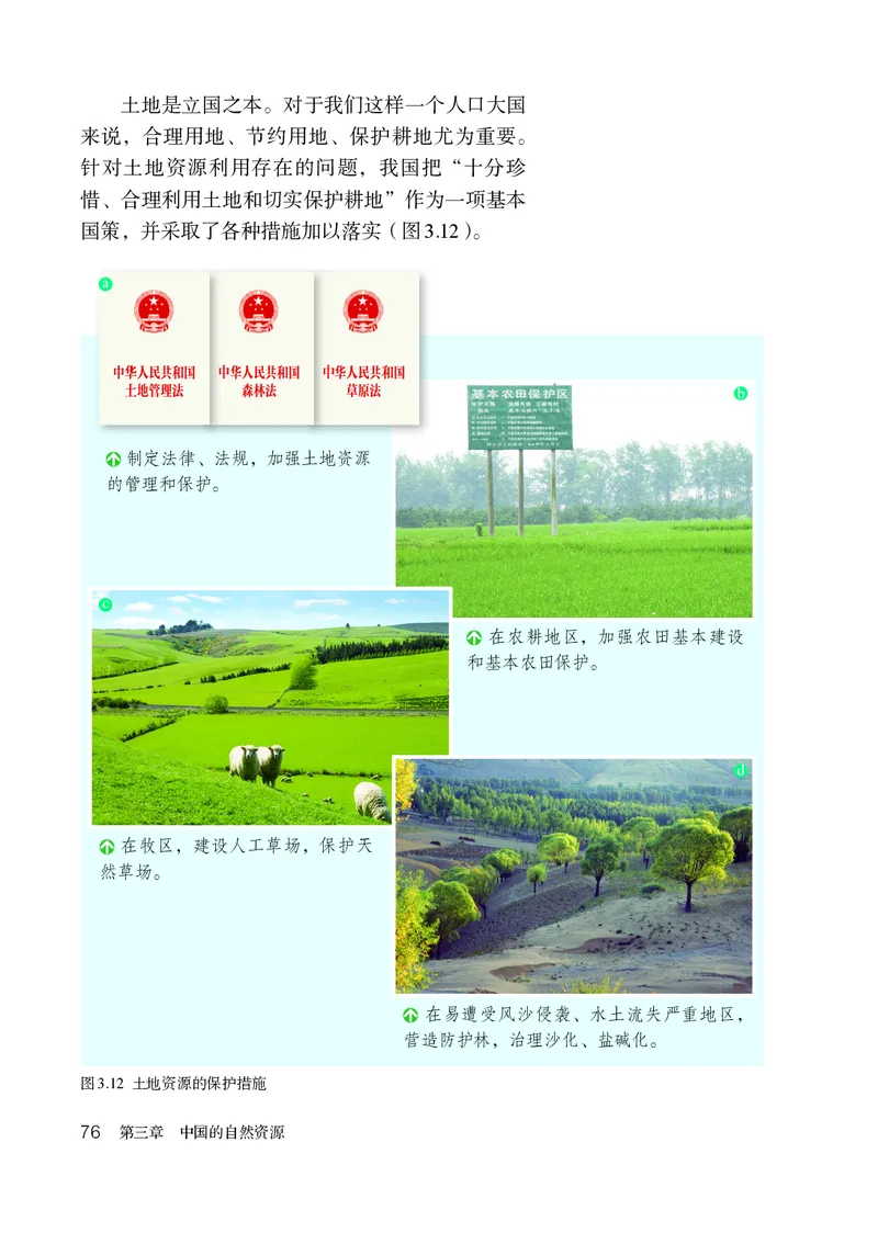 鲁教版7年级地理上册高清教材_4-教培资料-26年最新资料-同步更新_初中高中教资_03科三专项（进去保存报考的学科即可）_02科三专项（笔记真题思维导图教学设计版本二）