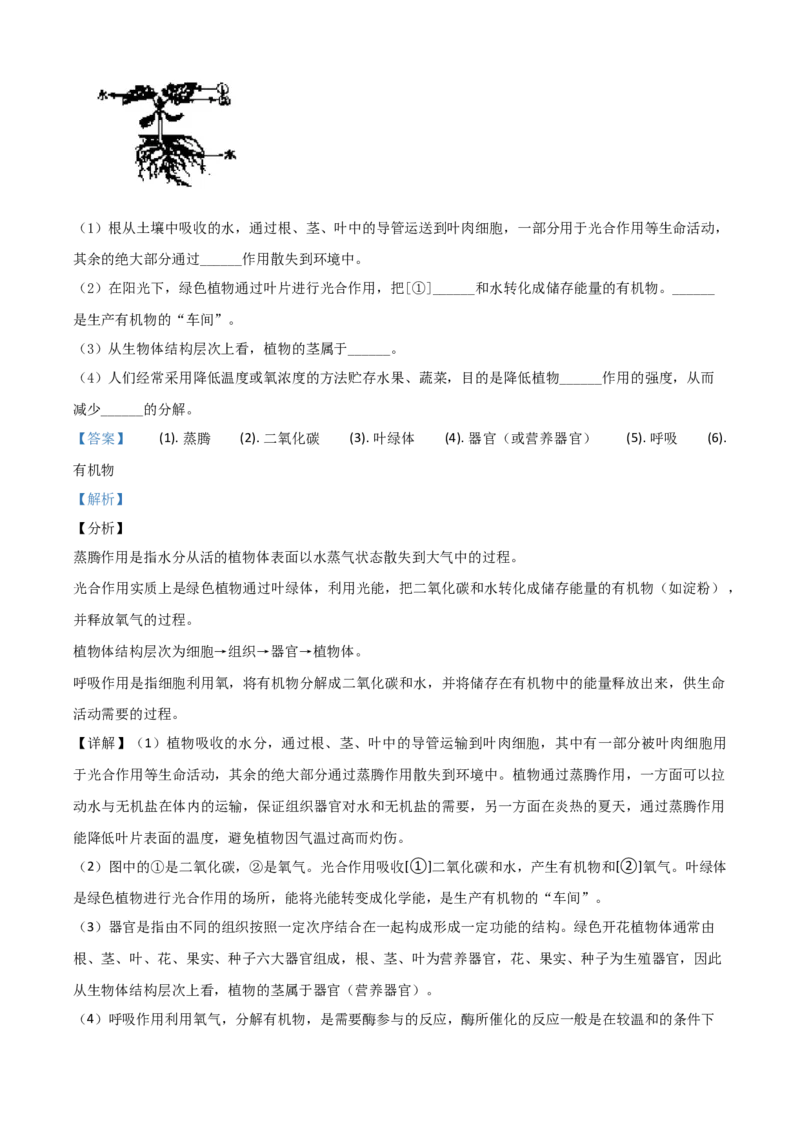精品解析：辽宁省营口市2020年中考生物试题（解析版）_中考真题_8.生物中考真题2015-2024年_2020生物真题74份_2020年中考真题精品解析生物(辽宁营口卷)精编word版
