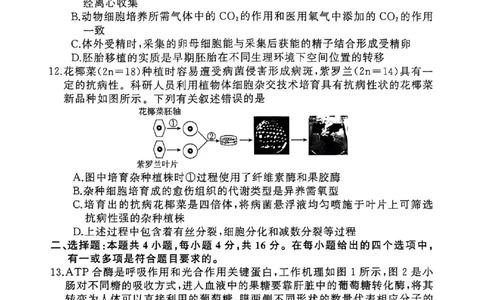 2025届湖南省永州市高考第二次模拟考试生物试卷_2025年1月_2501152025届湖南省永州市高考第二次模拟考试_2025届湖南省永州市高三上学期第二次模拟考试生物