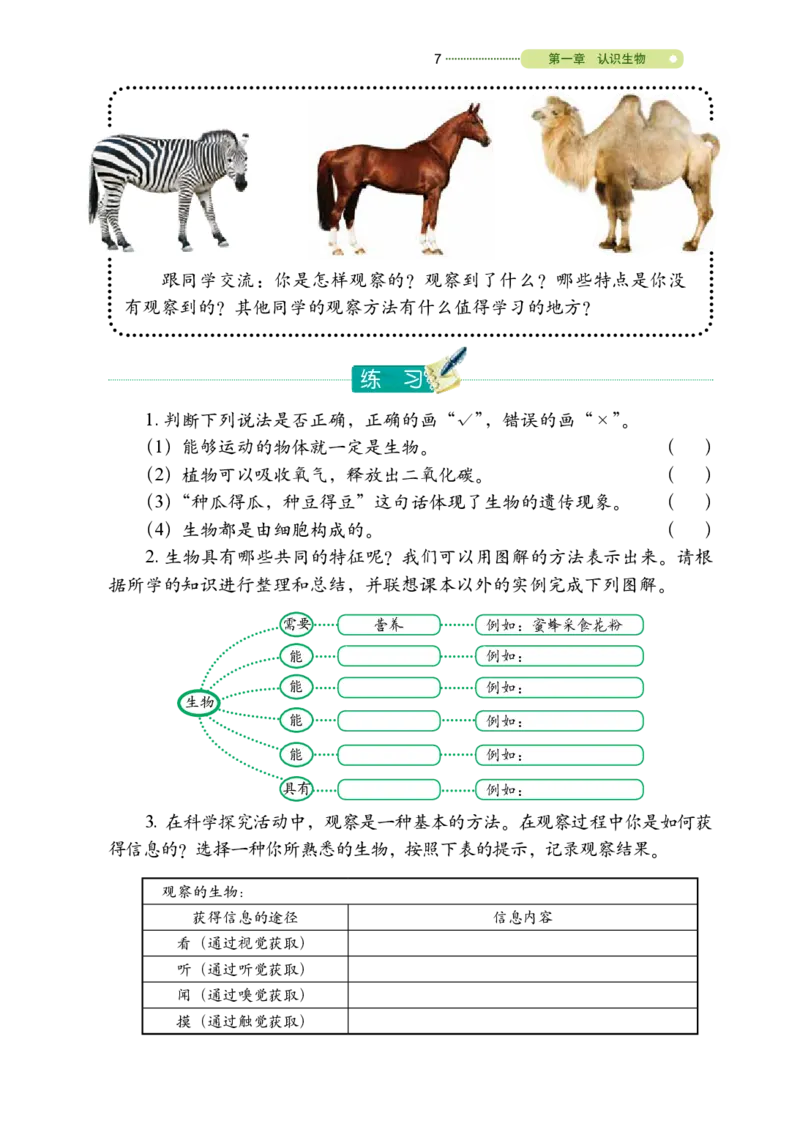 鲁教版6年级生物上册高清教材_4-教培资料-26年最新资料-同步更新_初中高中教资_03科三专项（进去保存报考的学科即可）_02科三专项（笔记真题思维导图教学设计版本二）