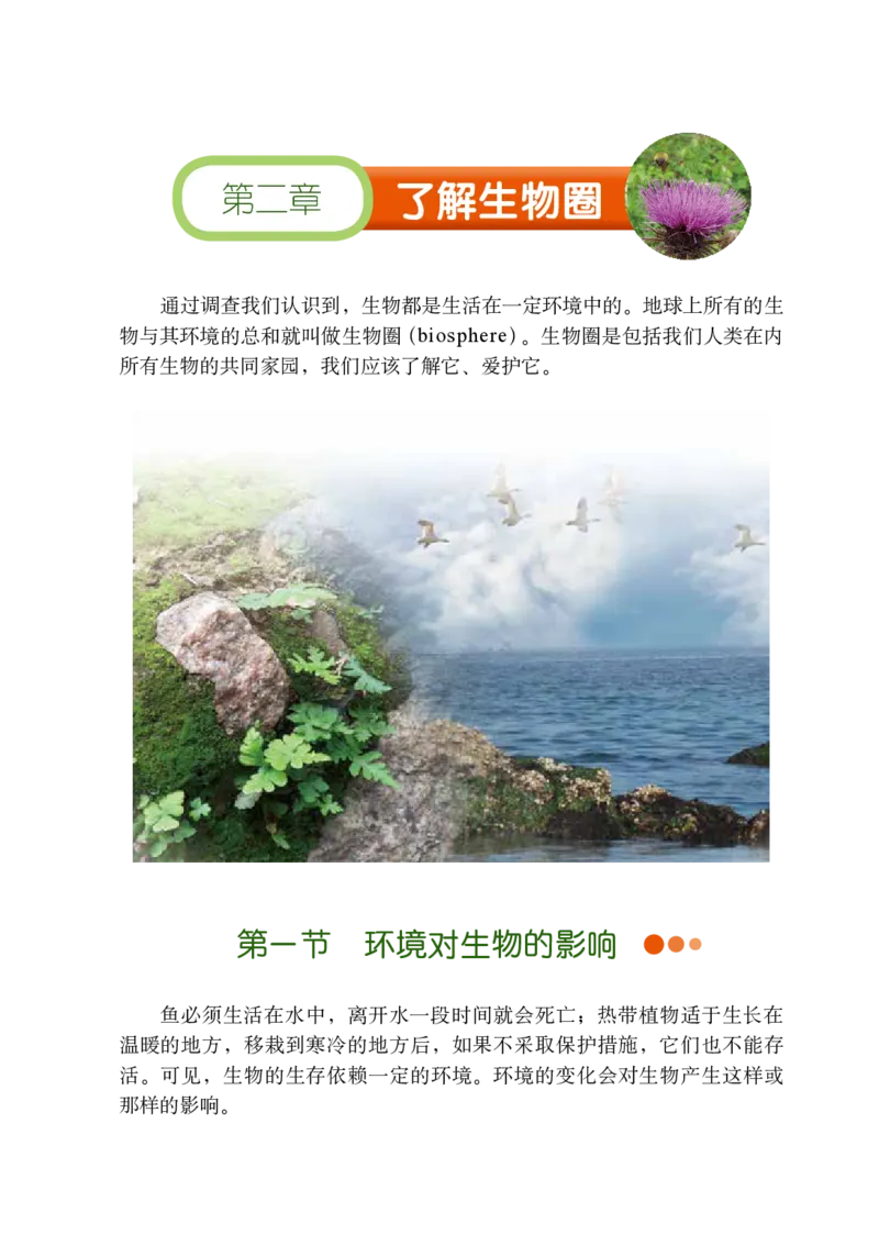 鲁教版6年级生物上册高清教材_4-教培资料-26年最新资料-同步更新_初中高中教资_03科三专项（进去保存报考的学科即可）_02科三专项（笔记真题思维导图教学设计版本二）