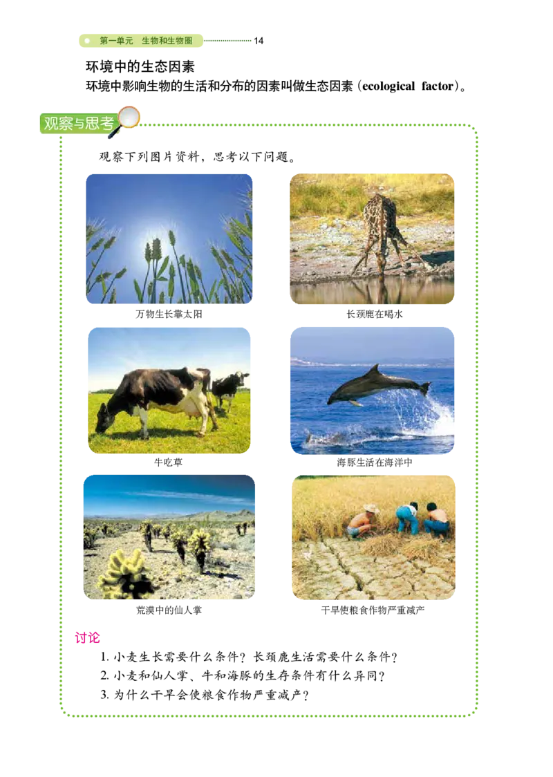 鲁教版6年级生物上册高清教材_4-教培资料-26年最新资料-同步更新_初中高中教资_03科三专项（进去保存报考的学科即可）_02科三专项（笔记真题思维导图教学设计版本二）